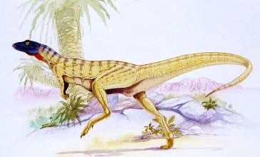 Lesothosaurus diagnosticus  = 