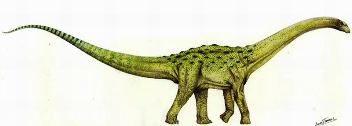 Nurosaurus  Dong, 1992 = 