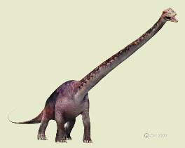Mamenchisaurus hochuanensis =  