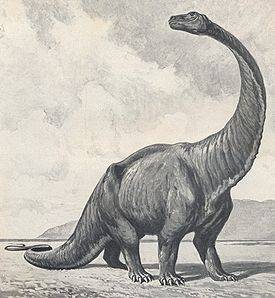 gigantosaurus : Gigantosaurus megalonyx  =  (=)