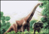 : Diplodocus  Marsh, 1878 = 