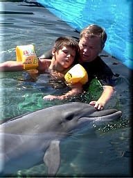 Дельфинарий в Евпатории