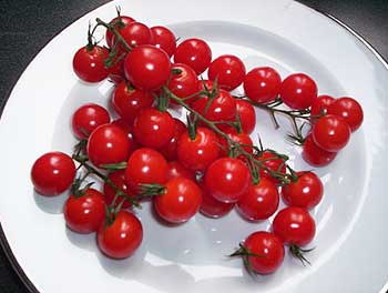 мини томаты