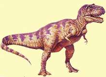 Tyrannosaurus  rex  Osborn, 1905 =  