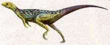 Lesothosaurus diagnosticus † Galton, 1978 = Лесотозавр
