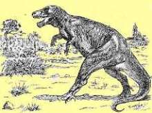 Tyrannosaurus  rex  Osborn, 1905 =  