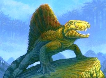 Acrocanthosaurus = 