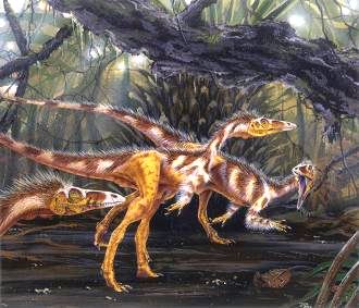 Compsognathus longipes † = Компсогнат