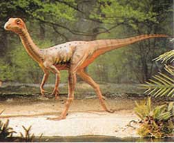Compsognathus longipes  = 