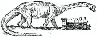 : Gigantosaurus megalonyx  =  (=) gigantosaurus